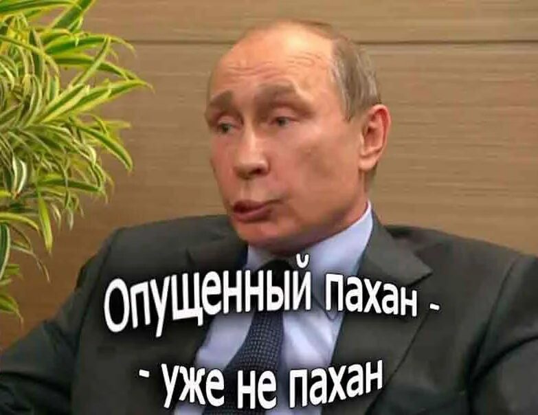 Поскуды