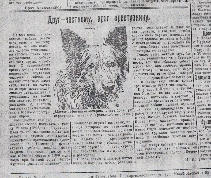Статью о животных. Статья в газете про собак. газетные вырезки про животных. собака с газетой. заметка в газету про собак.