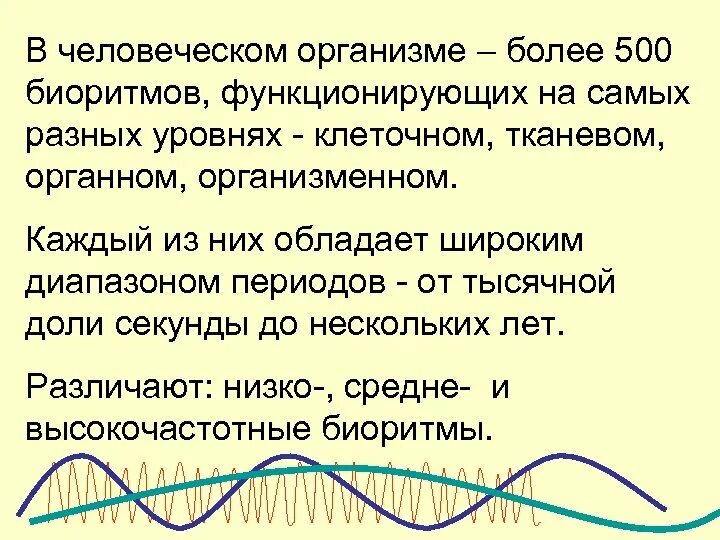 Биоритм значение. Низко средне высокочастотные биоритмы. влияние лекарственных препаратов на биоритмы. хронофармакология. понятие о хронофармакологии.
