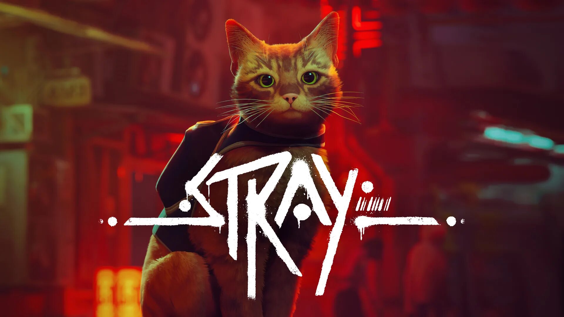 Крутые котики игра. Кот киберпанк. stray игра. stray кот. кот киберпанк игра.