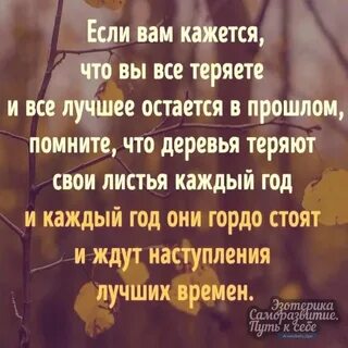 Не смотря на сложную
