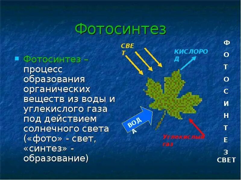 Процесс фотосинтеза процессы. Фотосинтез это процесс образования органических веществ. Схема фотосинтеза у растений. Фотосинтез органические вещества. Процесс образования органических веществ из неорганических.