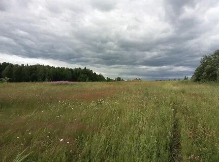 Клинско дмитровская