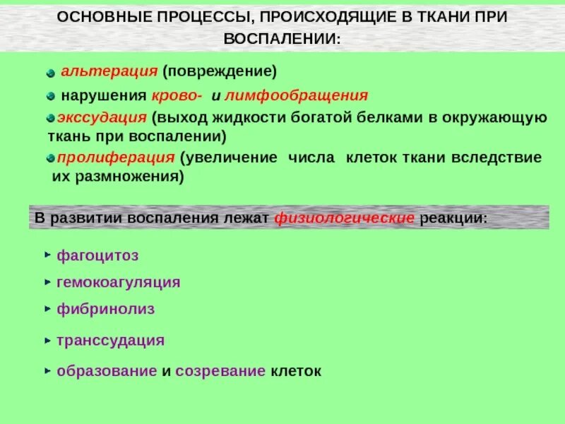 Важнейшие изменения происходящие в развитии. Основные процессы воспаления. Основные процессы при воспалении. Сущность основных процессов при воспалении. В чём сущность основных процессов при воспалении.