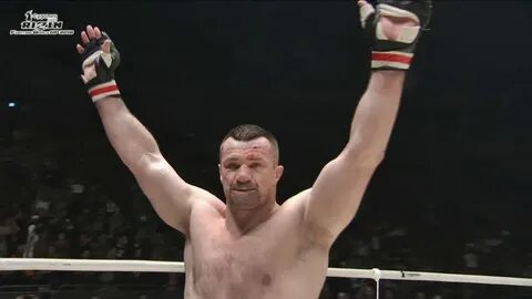 Бои мирко видео