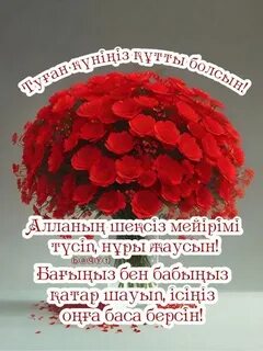 Қисық пенистің артықшылықтары мен кемшіліктері