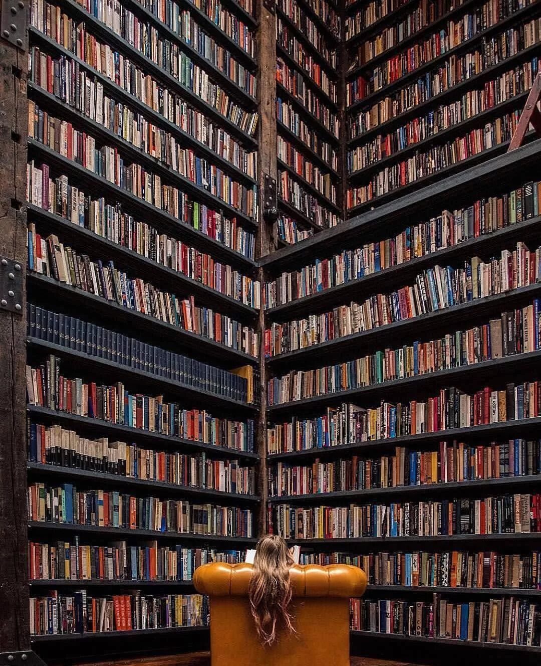 Телефон библиотеки. Очень много книг. Книга библиотека. Книжная библиотека. Огромные полки с книгами.
