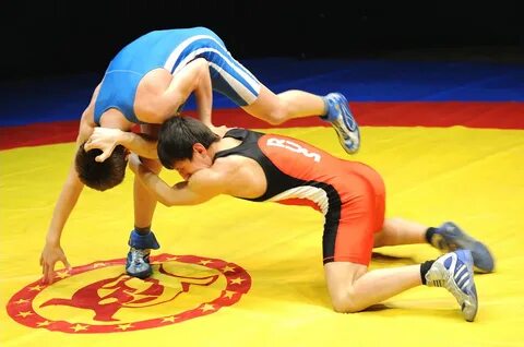 Вольная борьба олимпийский вид спорта