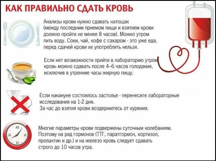 Перед сдачей анализа мочи нужно. Перед сдачей крови на анализ. Как правильно сдавать кровь. Перед сдачей анализа крови что нельзя. Как правильно сдать анализ крови.