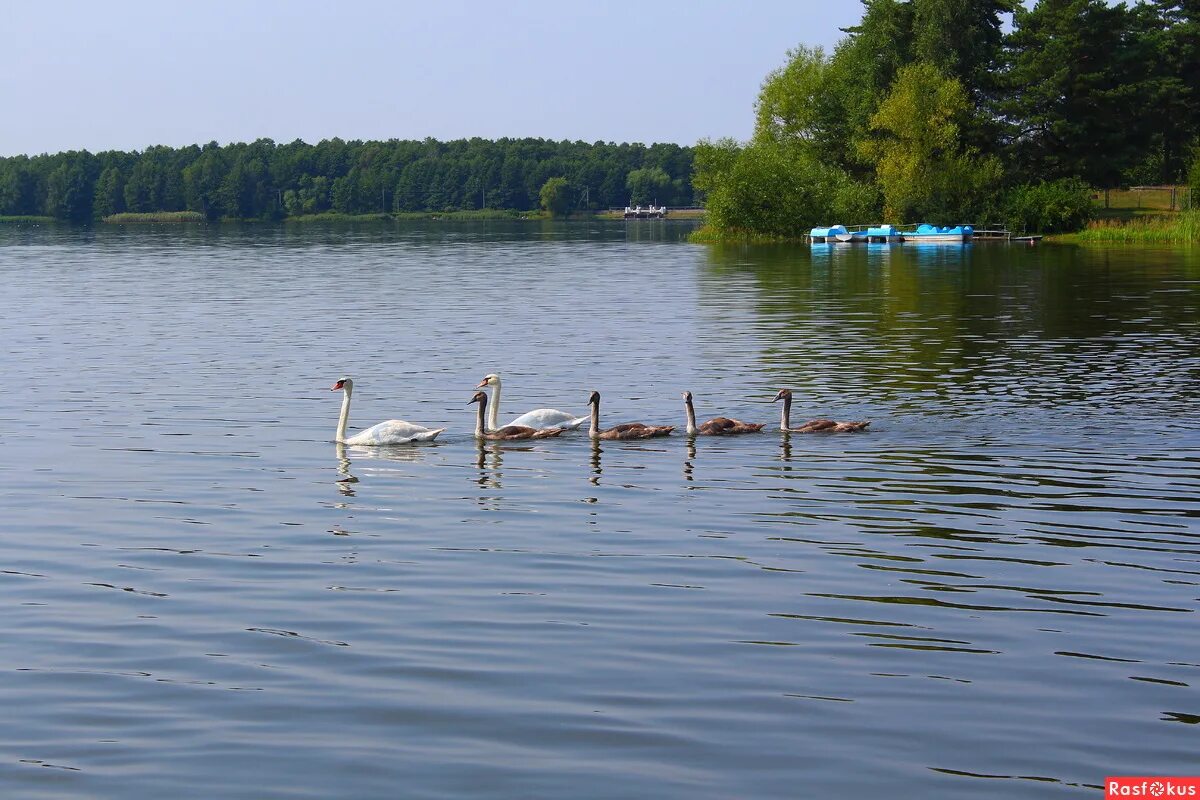 озеро гать липецкая область