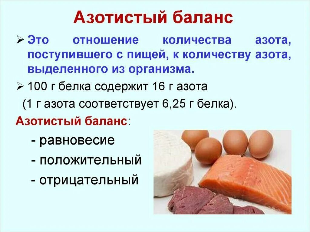 Азот содержащиеся соединения. Азотистый баланс. Азот в продуктах. Азот в пищевых продуктах. Продукты содержащие азот.