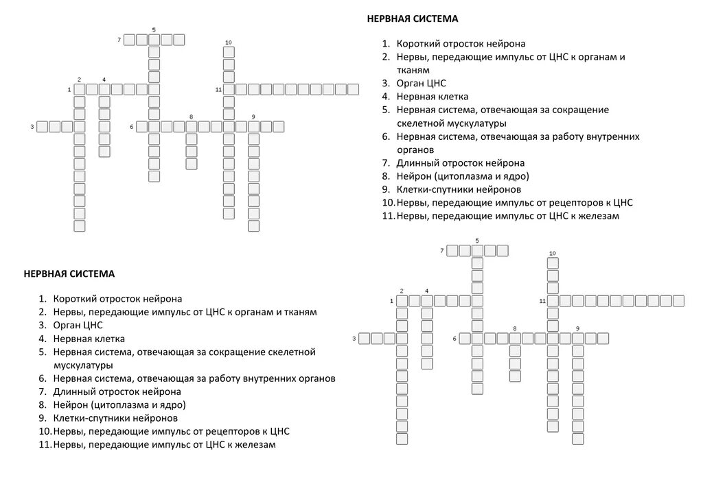 Кроссворд нервная система человека с ответами. Кроссворд нервная система 8 класс биология. Кроссворд нервная система. Кроссворд по теме нервная система. Кроссворд опухоли