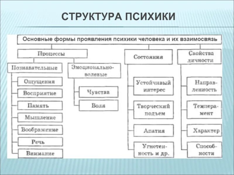 Психика человека структура функции. Психика человека структура функции