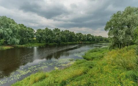 Река шелонь