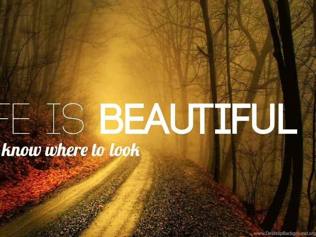 Beautiful translate. Life is beautiful фото. жизнь прекрасна на английском. обои на телефон life is beautiful. жизнь life.