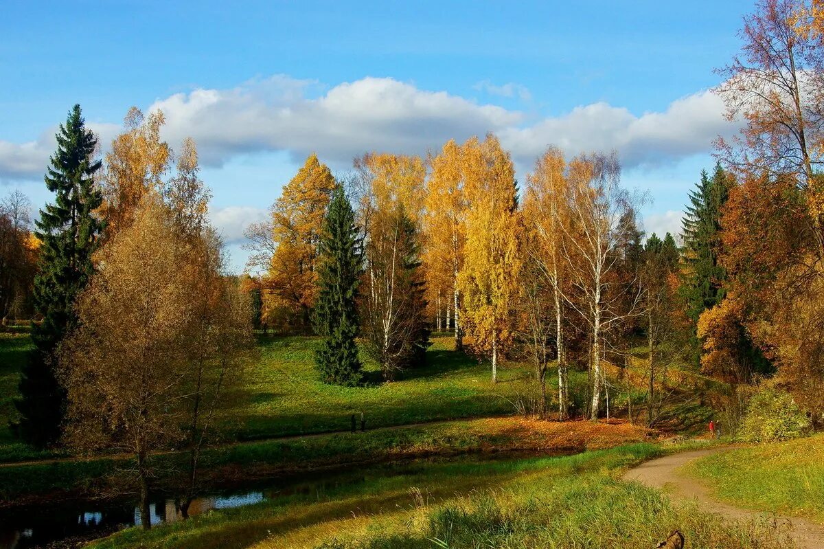 Сентябрь продолжение лета. Ранняя осень. Бабье лето. Сентябрь природа. Пейзаж ранняя осень.