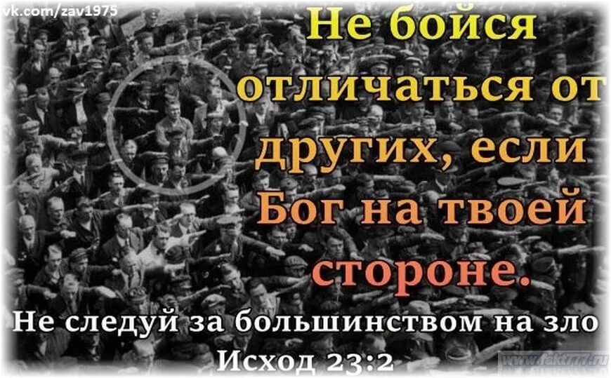 Большинство людей в наше время считают. Цитаты про большинство. Мнение большинства всегда. Большинство всегда неправо. Мнение большинства всегда ошибочно ибо большинство людей -идиоты.