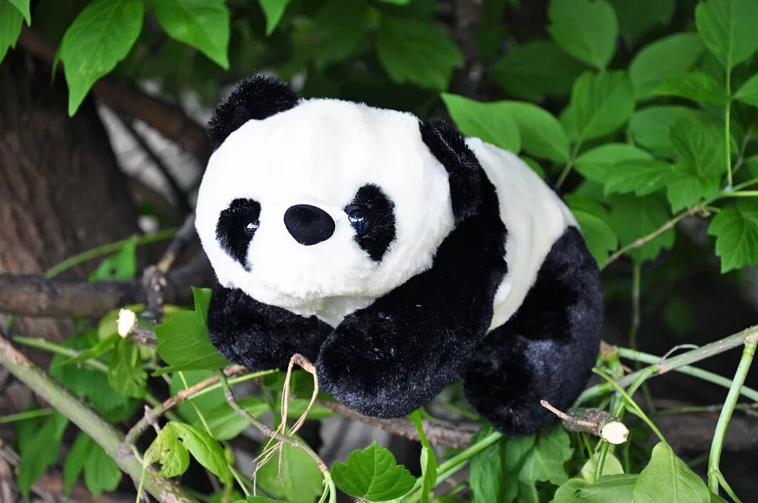 Мягкая игрушка "Панда", 25 см. Бамбу Панда 25 см 36463. Мягкая игрушка Панда большая.