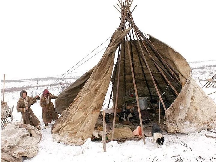 Берестяной чум якута. Чум ненцы Ханты. Чум Ханты и манси. Чум манси внутри. Жилища Ханты и манси.