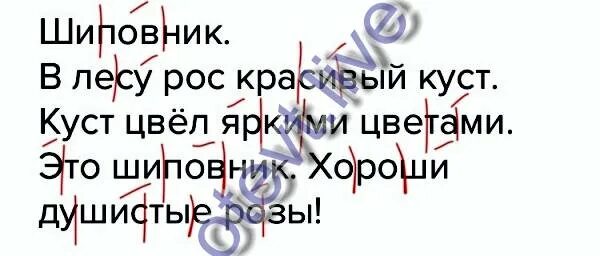 Правильное ударение в словах русского языка. В лесу рос красивый куст поставить ударение. Сирень просклонять. Постановка ударения в словах. Слова с двумя ударениями.