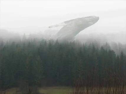 Вдаль ракеты уплывают