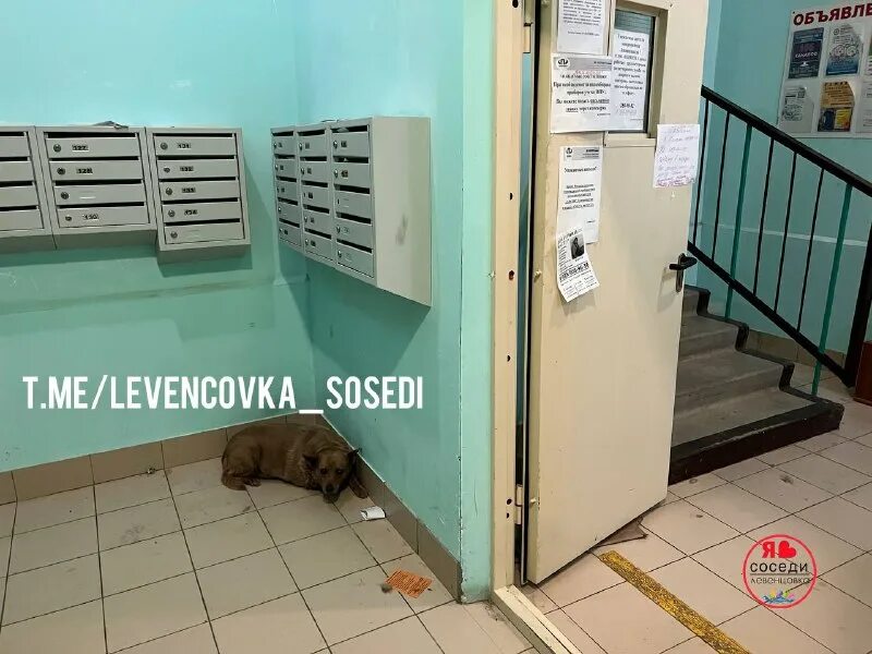 замерзший дом. подъезд многоэтажки. соседи по лестничной клетке. замерзший подъезд. сфоткал в подъезде.