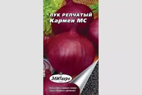 Лук кармен описание