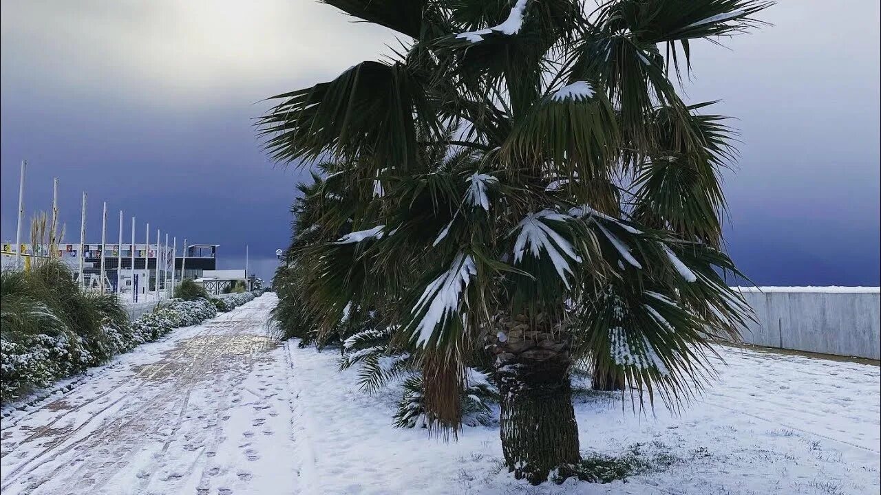 Погода в адлере в сентябре 2024. Сочи Адлер зимой. Климат Сочи зима. Сочи декабрь 2021. Климат в Сочи зимой.