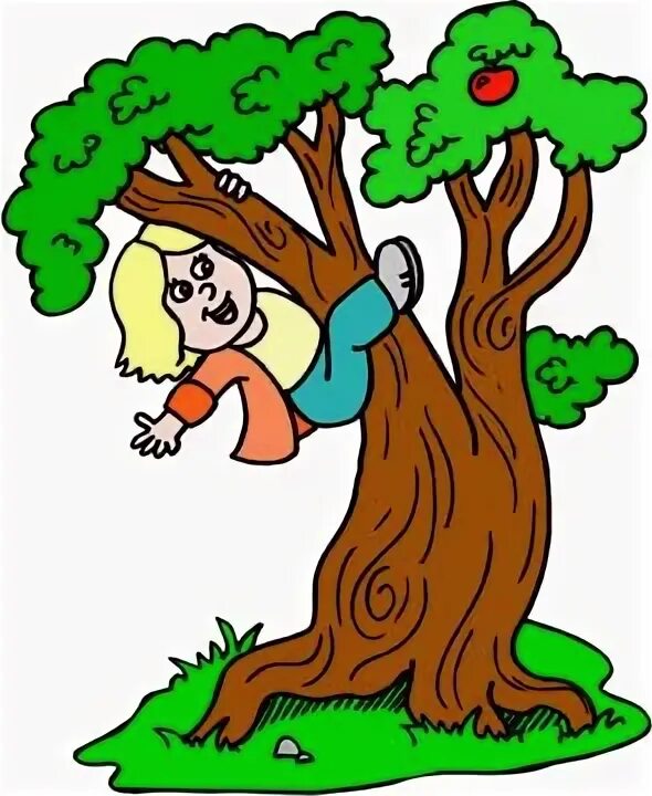 Карабкаться картинка для детей. Climb a Tree picture for Kids. Простая картинка я умею карабкаться на дерево. Can you climb a tree