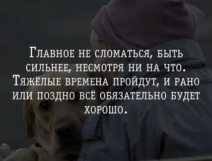 Цитаты для поддержки духа