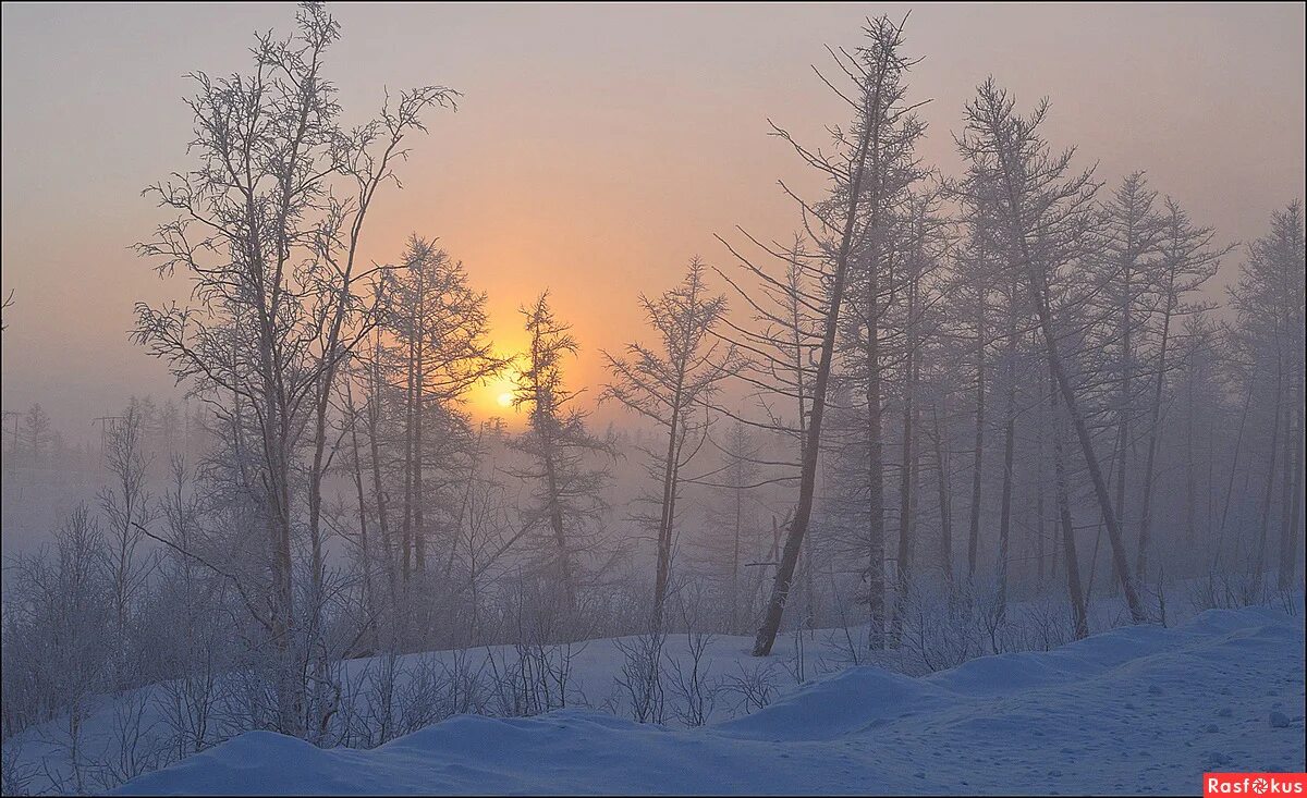 Вижу ветки вижу ветки 4. Солнце в январе на Таймыре фото. Зимний Восход солнца на севере Таймыр. Доброе утро с Таймыра января. Зима на Таймыре в морозный максимум.