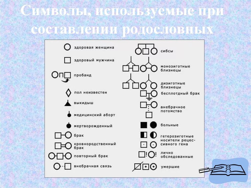 Методы изучения генетики человека генеалогический. Генеалогический метод изучения наследственности. Генеалогический метод, составление родословной. Генеалогический метод генетики человека. Генеалогический метод изучения генетики человека.