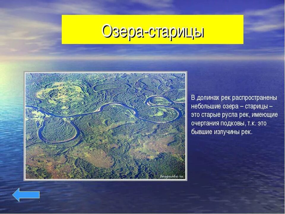 Озеро старица. Старичные озера. Старица русло. Озеро старица. Образование озер стариц.