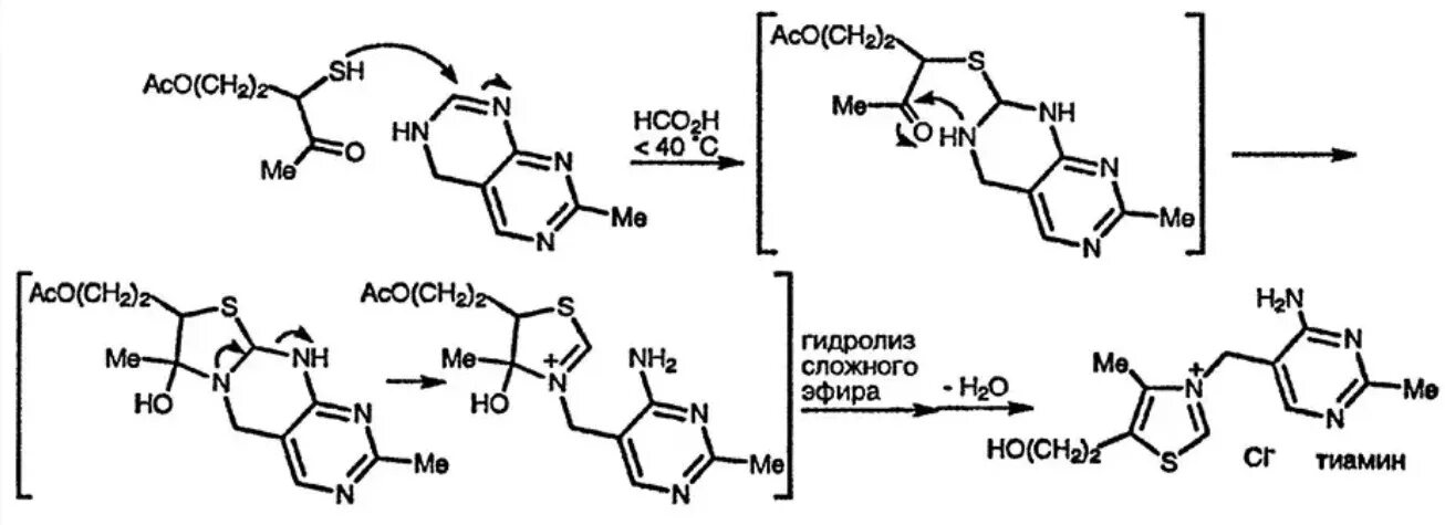 Синтез тиамина в организме. Тиамин в1 формула. Синтез тиамина хлорида. Синтез витамина в1.