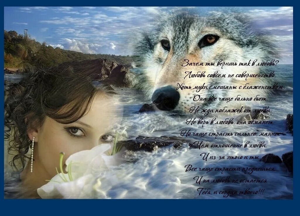 Волчица и девушка. Девушка с волком. Одинокая волчица. Женщина волк одиночка.
