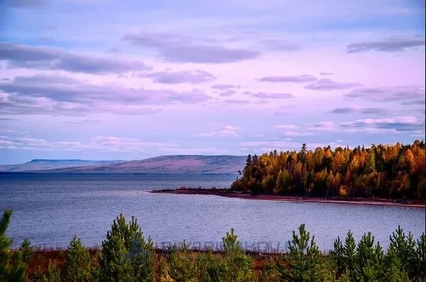 Ангара водохранилище. Ангара усть илимское водохранилище. янгель водохранилище усть-илимское. усть илимское водохранилище усть илимск. водохранилище усть илимска.