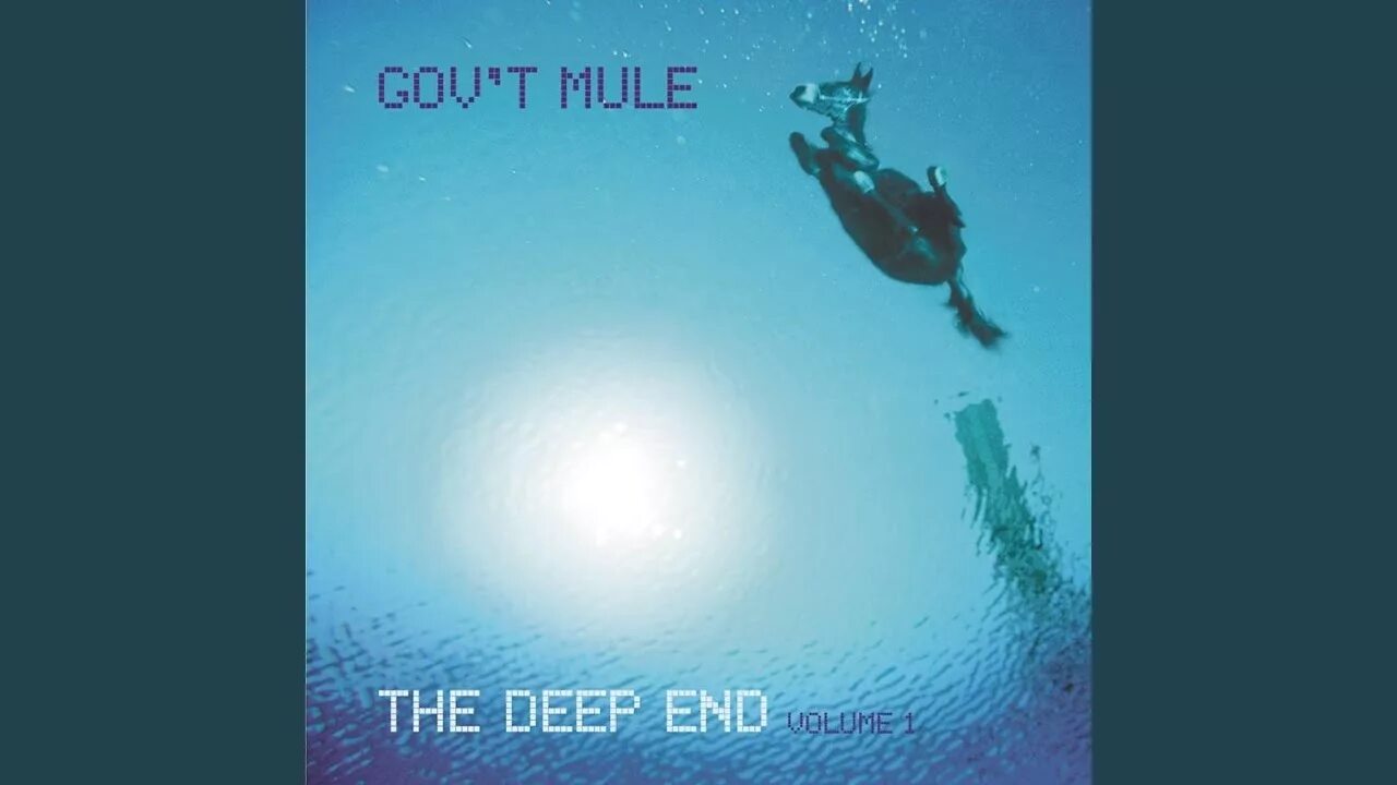 In at the deep end. Deep end. gov&#039;t mule the deep end vol.1. the deepest end gov’t mule. worried down with the blues.