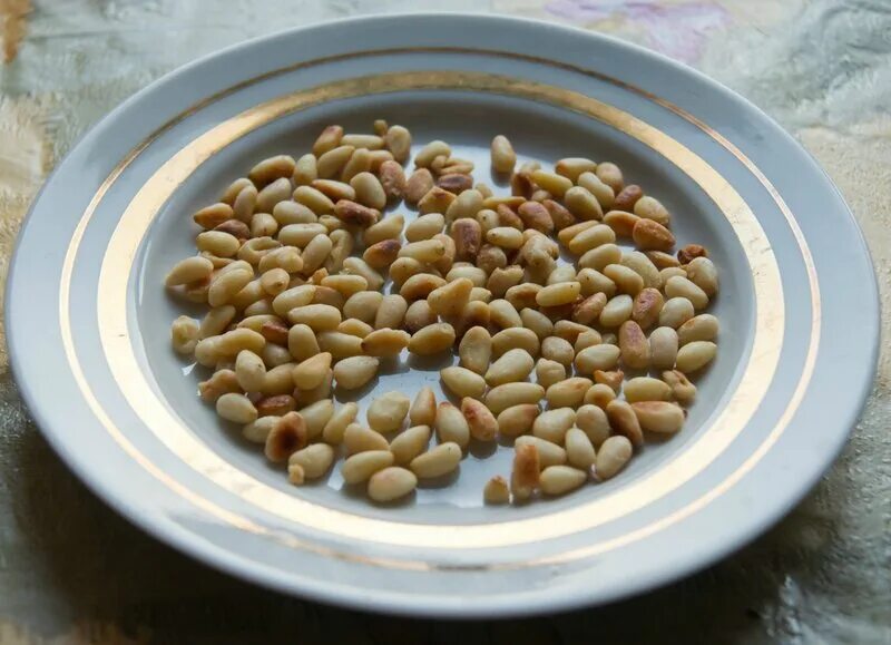 Можно собакам кедровые орехи. Можно собакам кедровые орехи. Можно собакам кедровые орехи. Сибирский кедр орешки. Кедровый орех неочищенный.