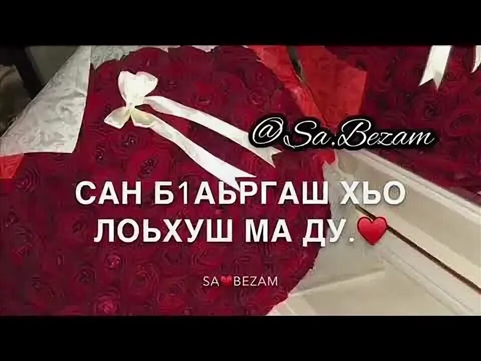 Са безам музыка. Макка межиева. Марха макаева. Дог на чеченском. Хьо мил перевод.