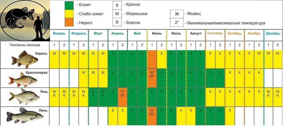 Клев рыбы в лунно. Рыболовный календарь. график клева рыбы. календарь рыбалки. календарь ловли рыбы.
