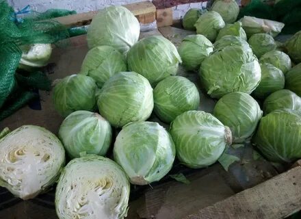 Купила капусту она