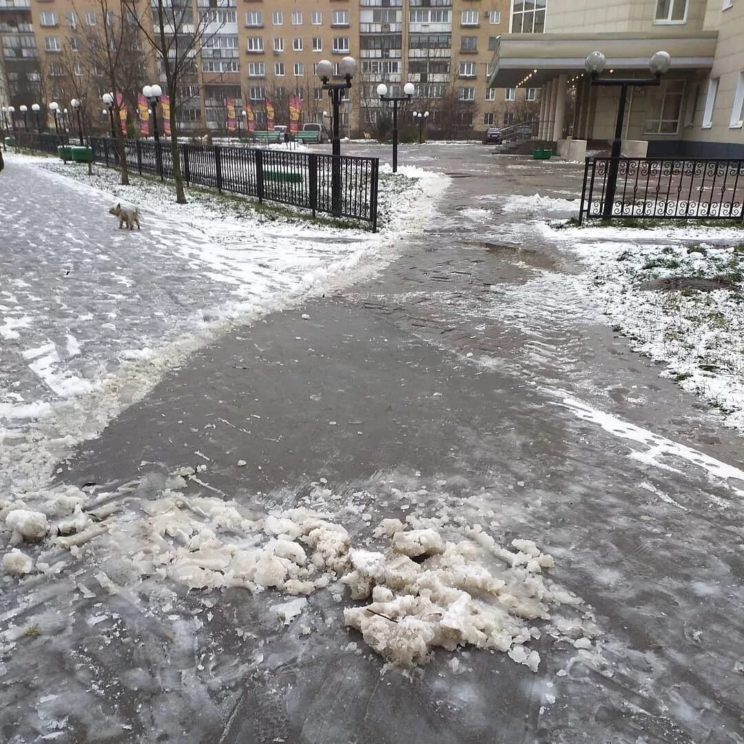 Погода во фрязино сегодня. Снегопад во Фрязино. Фрязино весной. Фрязино потепление.