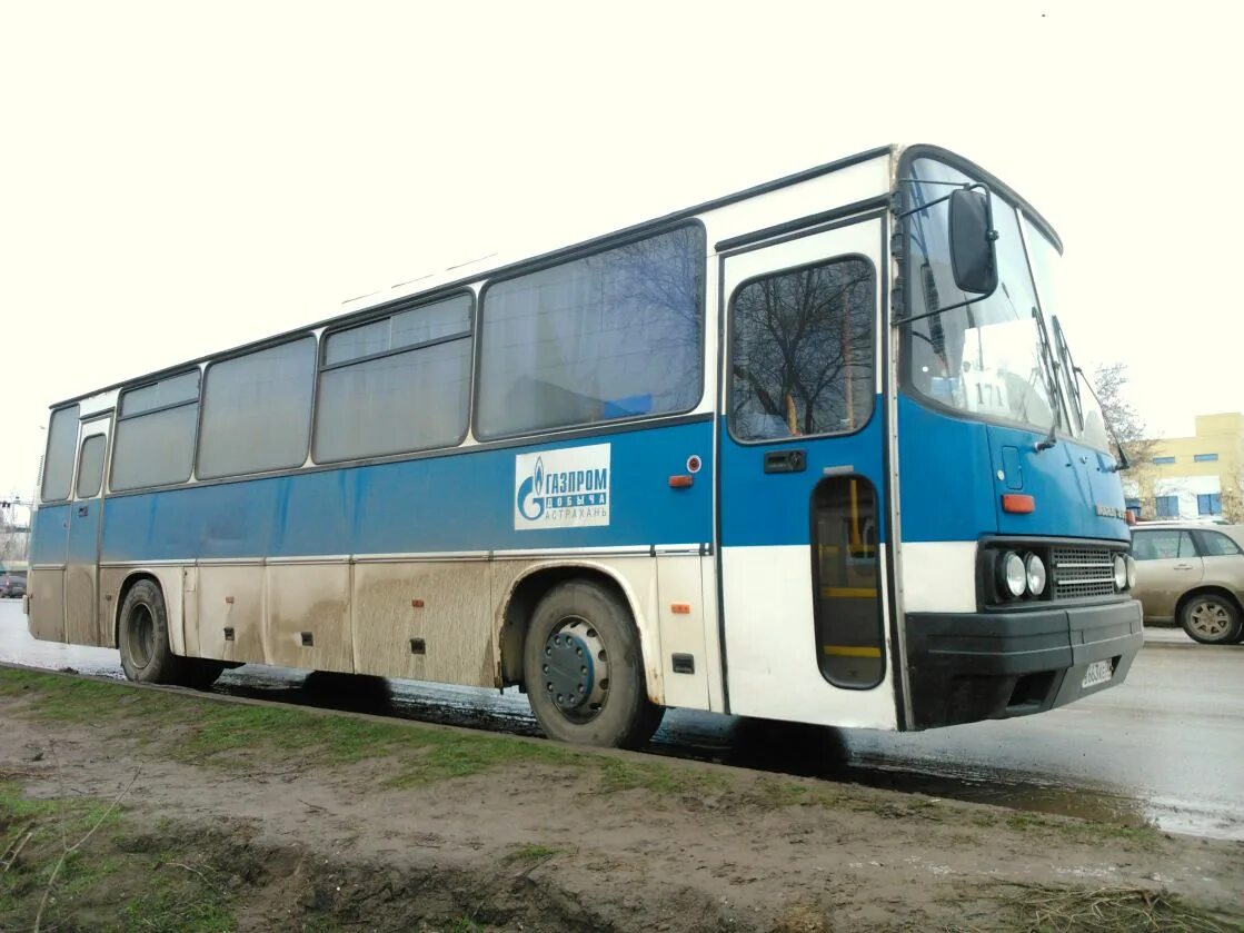 10 автобус астрахань. Ikarus 256.21h. Икарус 256 турист. Икарус 256.21. Икарус 256 2002.