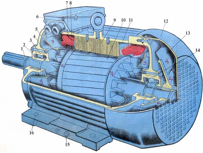 Аир устройство. Асинхронный двигатель с короткозамкнутым ротором. Устройство асинхронного двигателя с короткозамкнутым ротором. Трехфазный асинхронный двигатель с короткозамкнутым ротором. Трехфазный короткозамкнутый асинхронный двигатель.
