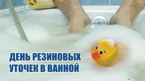 День уточек