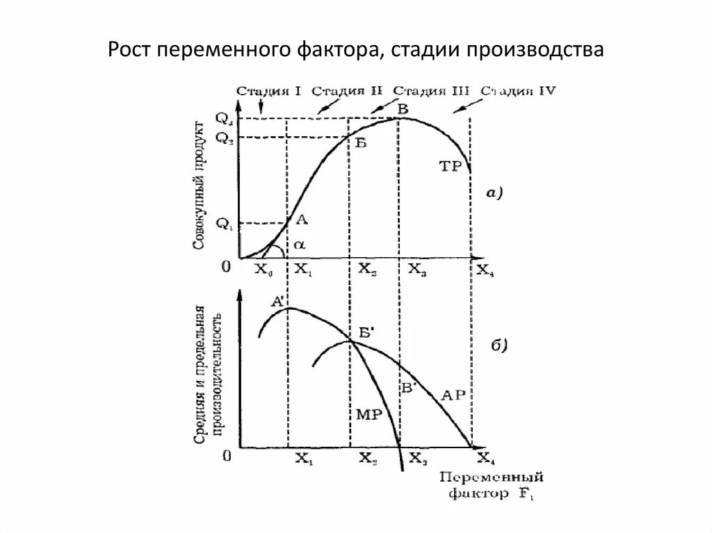 Рост переменного фактора стадии производства. Предельный продукт переменного фактора производства это. Совокупный средний и предельный продукт график. Общий средний и предельный продукт переменного фактора производства. Определите стадии производства