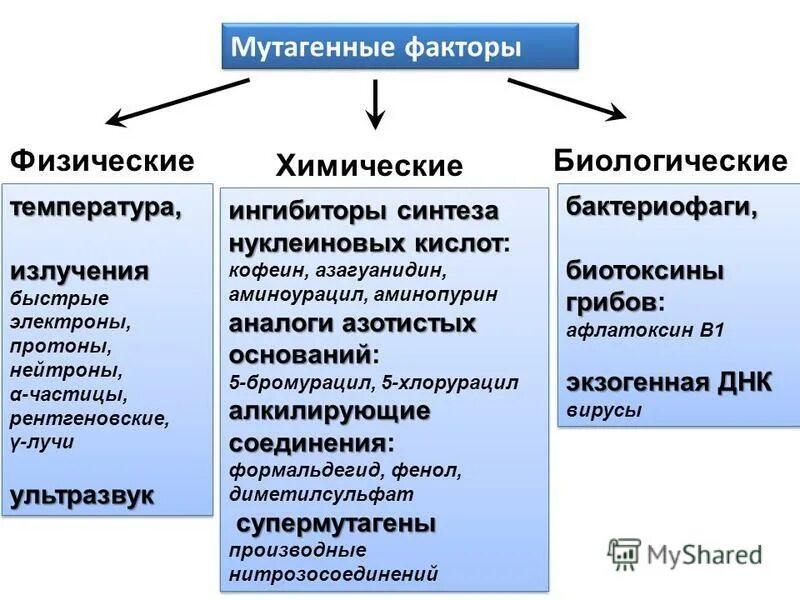 методы селекции рентгеновские лучи
