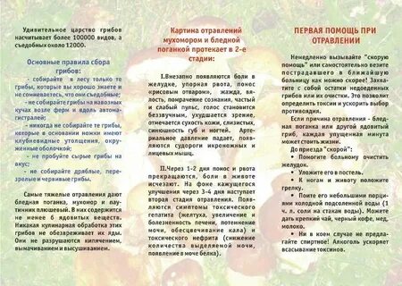 Симптомы отравления ядовитыми грибами