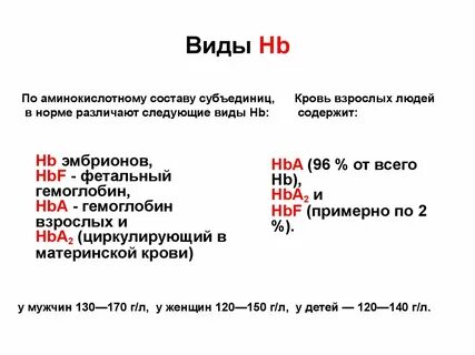 Hb это