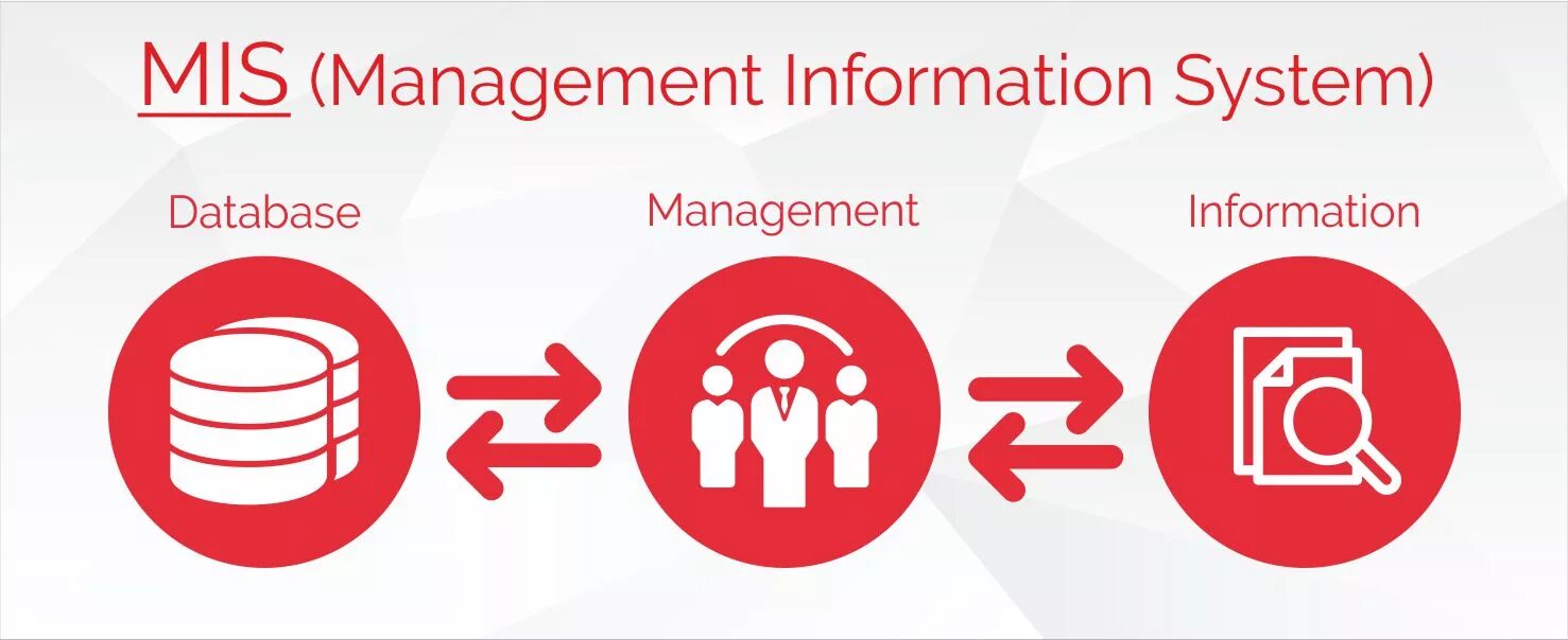 Management information system